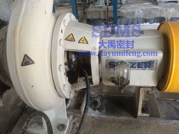 蘇爾壽泵運(yùn)轉(zhuǎn)現(xiàn)場